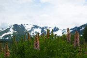 Foto: Uguns Zeme. Vārti uz ledus kontinentu